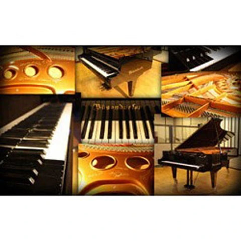 Galaxy II’s Vienna Grand is comprised of sampling a BOESENDORFER IMPERIAL 290 grand piano. Established by Ignaz Bösendorfer in 1828, Bösendorfer is the oldest piano manufacturer still in production and has a history of constructing some of the worlds finest instruments.