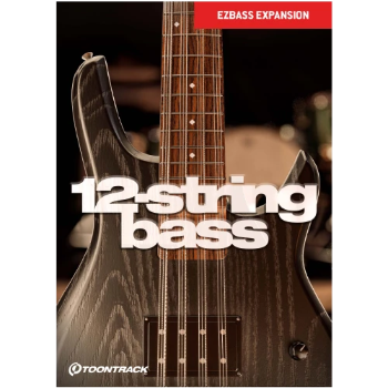 The EBX includes the instrument, a collection of basslines, and mix-ready presets—ranging from bare-bones clean to ambient, saturated, and semi-synthetic tones. As a bonus, each preset features an FM synth layer, adding classic synth bass depth to your mix.