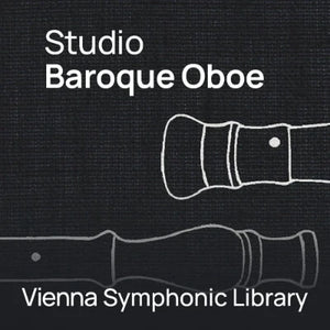 The baroque oboe appeared in the middle of the 17th century.&nbsp;in appearance and, like the modern oboe, has a double reed for sound generation.&nbsp;It covers the high soprano register from c1 to d3, which is why the instrument is also called "hautbois"