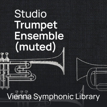 A trumpet ensemble played with mutes produces a softer and more reserved sound than regular trumpets. The mutes change the timbre, making it less sharp without reducing the expressiveness of the instruments