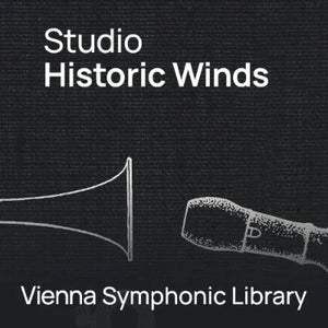 A collection of rare and unique wind instruments
Historic instruments from different periods