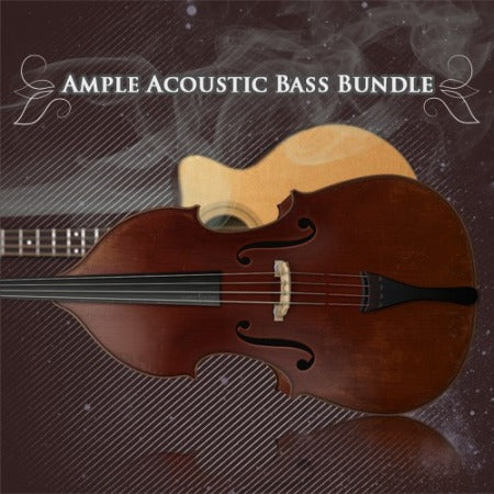 AMPLE 2 IN 1 ACOUSTIC BASS BUNDLE
