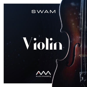 Audio Modelling Swam Violin