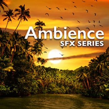 AMBIENCE SFX SERIES